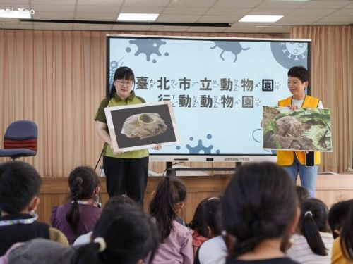 動物園開到社區來！臺北市立動物園「行動動物園」首創老幼共學，讓偏鄉笑聲滿滿