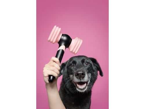 BLIИK集合！準備好你的應援棒，一起閃亮登場！