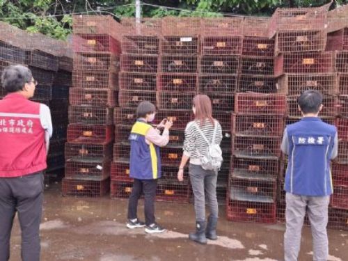寒流來襲，防疫升級，新北嚴防禽流感跨境風險，守住食安第一線