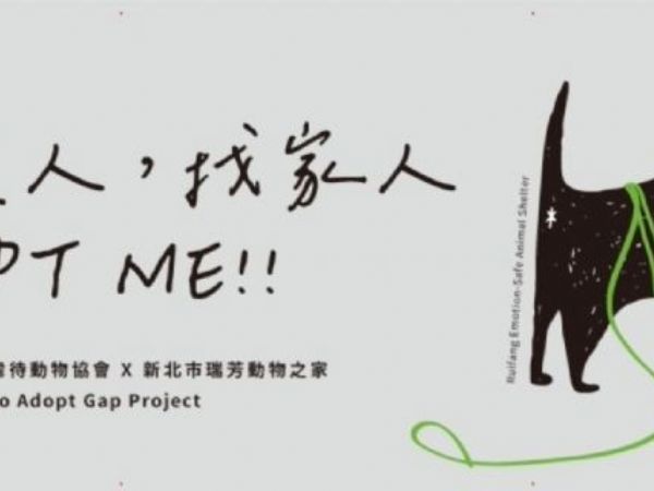 新北認養活動暖心登場！毛孩走進生活日常，在IKEA遇見屬於自己的家