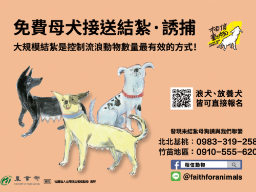桃園免費母犬絕育協助開跑，一起守護米克斯，也讓牠們擁有更安穩的生活