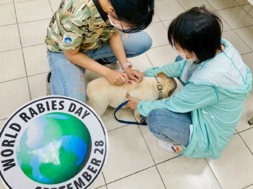 免費狂犬病疫苗巡迴 6/18 開跑，北市44場活動守護毛孩健康一夏