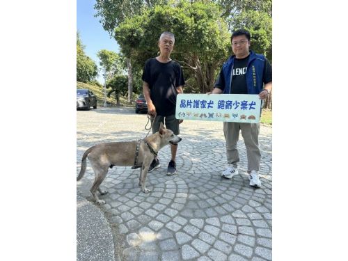 守護毛孩的幸福日常：飼主責任溫馨提醒與友善稽查公告