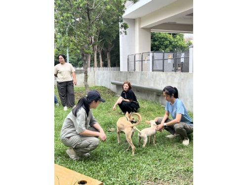 心靈與毛孩共舞！社工療癒工作坊在后里動物之家溫暖登場，以犬貓陪伴釋放同理與力量
