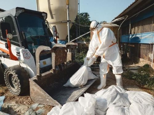 即時應變守住防線——後壁蛋雞場確診H5N1，動保處迅速處置全力防堵疫情