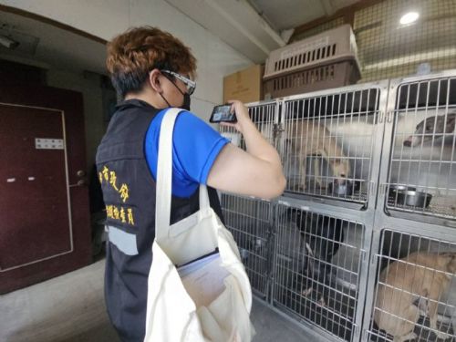 公私協力守護生命，台中北屯犬隻案件即時介入，醫療、安置與送養同步啟動