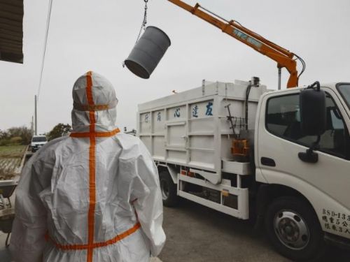 守住禽場安全線：動保處即時應變，全力防堵高病原性禽流感擴散