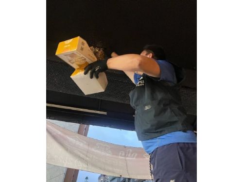 鳥兒就在城市裡，北市動保提醒守護幼鳥「三不原則」