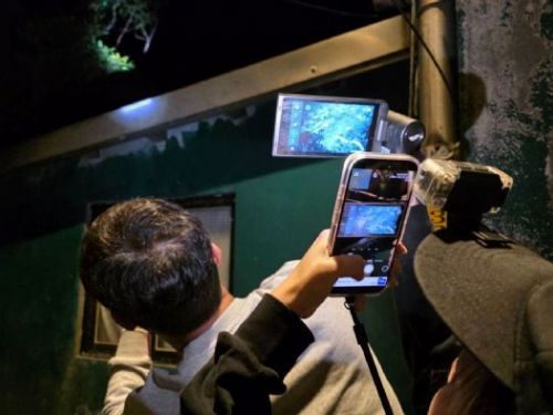 黑夜中的微光救援！新北動保處運用熱顯像科技，成功救出受困山區浪犬