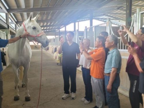 新北推動大動物獸醫培訓再升級，馬病臨床講座傳承專業、守護動物健康