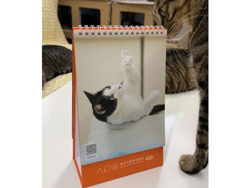 把溫暖帶回家：2026 可愛貓狗桌曆，等你一起翻開幸福篇章