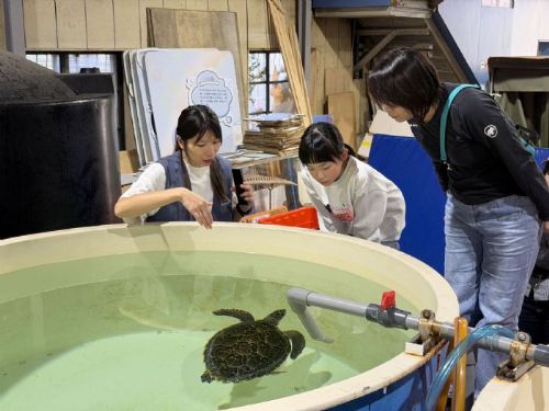聽見海洋的呼吸，一起守護藍色生命——新北「鯨豚海龜保育教育分享會」，把感動化為行動