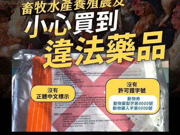 苗栗縣府加強稽查！觀賞魚用藥須領許可證，確保水族用藥安全與產業健全發展