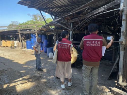 守住豬場也守住安心！新北市動保處三管齊下，築起非洲豬瘟防疫防線