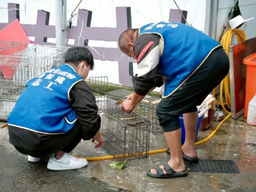 板橋動物之家勇奪「績優社會勞動機構」！十二年暖心合作，讓愛在動物與人之間接力延續