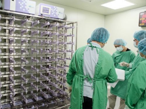 科學與生命的平衡｜新北市嚴格把關實驗動物福祉，守護研究品質與人道價值