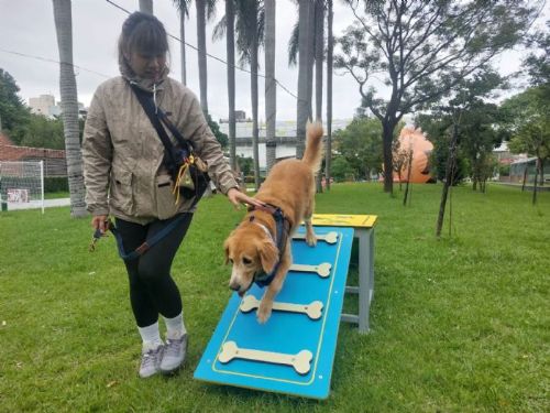 毛寶貝盛典閃亮登場！2025樂遊耶誕趴溫馨開跑，陪毛孩一起玩翻板橋