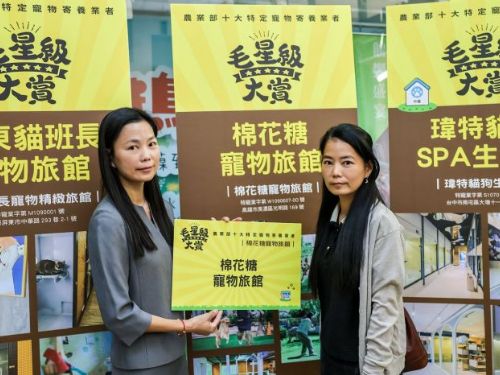 毛孩住得安心、飼主更放心，高雄5家寵物旅館入圍「毛星級大賞」，展現寵物友善城市的溫柔實力