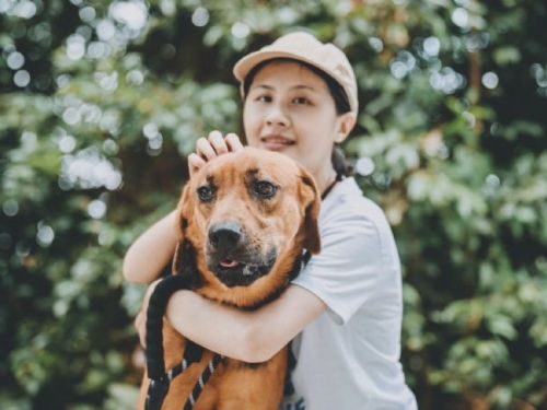 成犬也能成為家的主角──新北市成犬認養行動寫下溫暖新篇章