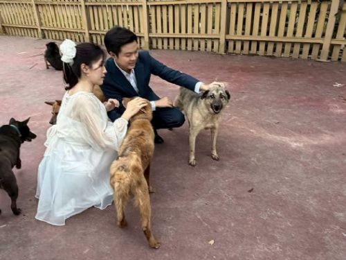 在婚紗與毛孩笑容之間，看見愛與責任：一對新人用鏡頭為流浪動物發聲