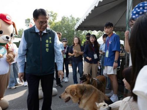 毛孩有愛不搗蛋！臺南府城Chill嗨嗨活動登場，打造人寵共享的幸福城市