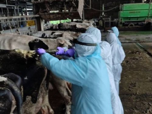 3月24日世界結核病日提醒：選對鮮乳更安心，守護人畜健康從日常做起