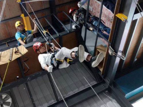 高空救援更安心！新北動保員專業訓練再升級，深夜成功救回4樓屋簷三花貓暖心落幕