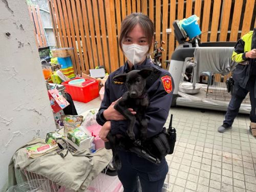 一條牽繩，一份守護！三重警所迎來最萌新成員，機關犬為派出所注入滿滿溫度