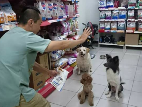 觀察毛孩便便也能守護健康！新北動保處提醒飼主從日常排便看出犬貓身體警訊