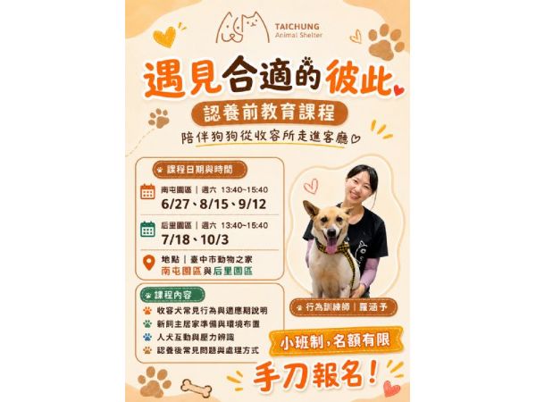 毛孩認養不衝動！臺中動保處推出「未來飼主養成班」陪您找到最適合的狗狗夥伴