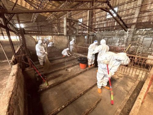 守護畜牧業，一起更安心！梧棲非洲豬瘟案例場第二階段清消完成，中央與市府攜手打造最強防疫線