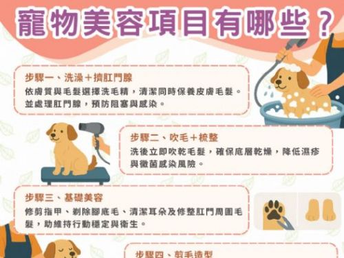 不只是洗澡剪毛！揭開狗狗美容的專業祕密，打造健康亮麗的毛孩日常