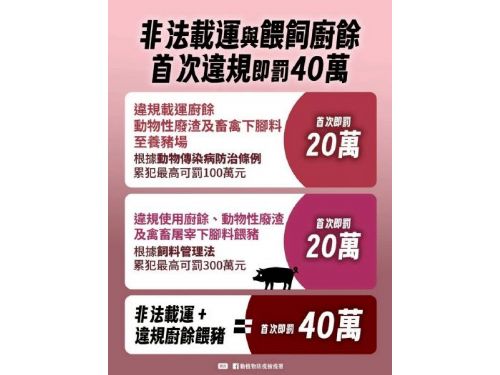 新春安心守護｜拒帶肉品入境、廚餘不餵豬，新北強化防疫一起把「豬」事顧好