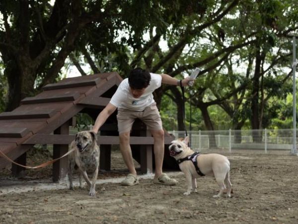 臺南大潭埤旺萊寵物友善公園開幕！黃偉哲：打造人與毛孩共融的幸福城市