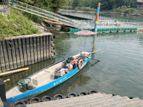 放生祈福反觸法，新北動保處提醒：愛護生命不等於隨意放生