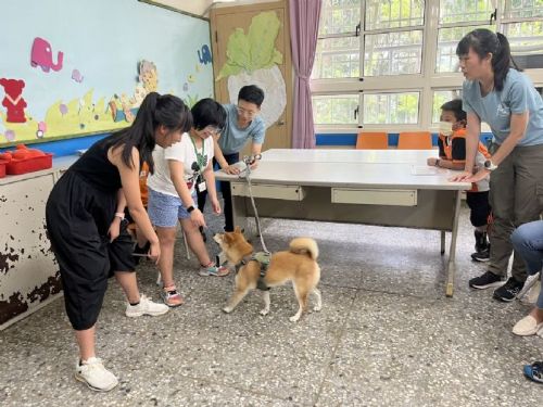 療癒犬陪你一起長大：動保深度課程打造孩子的自信與同理心