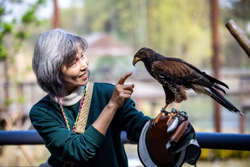 「動物老師」吸睛登場！野森動物學校17日起試營運
